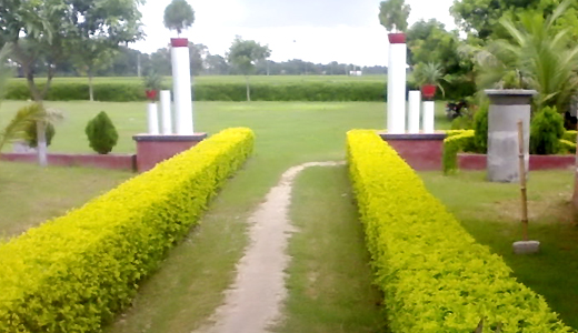 Krishnapur College